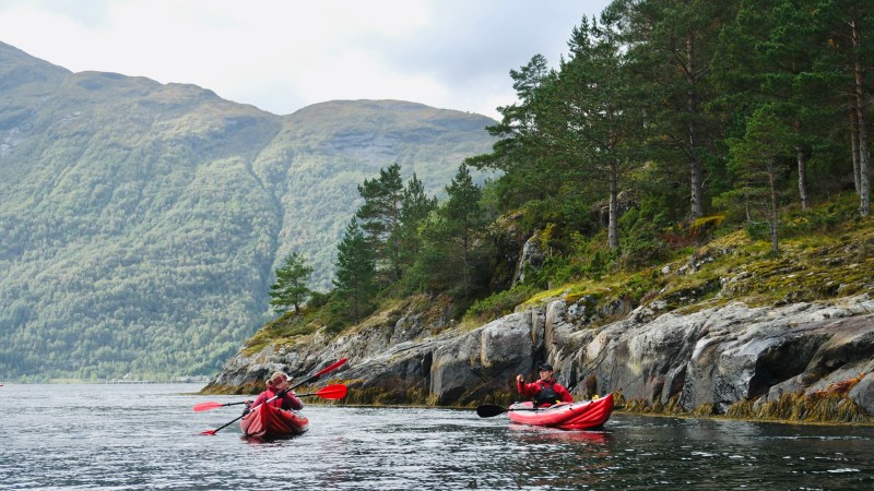 Two people kayaking in red kayaks near rocky shore with trees and mountains in the background.